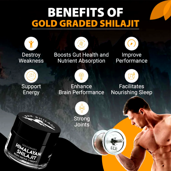 Sun Dried Himalayan Shilajit (Gold Graded) - Image 2